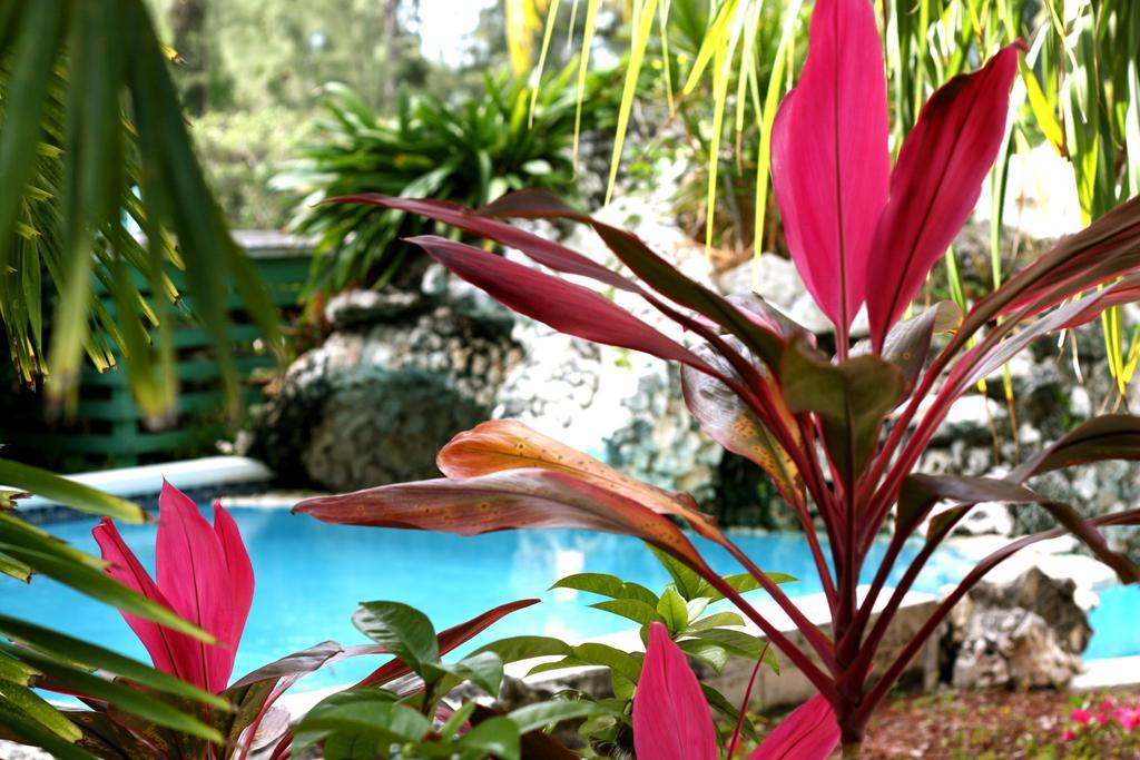 Sunrise Beach Club And Villas - Paradise Island Luaran gambar